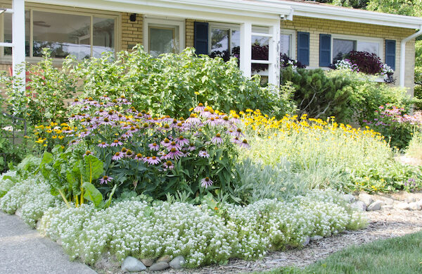 Permaculture Garden Design