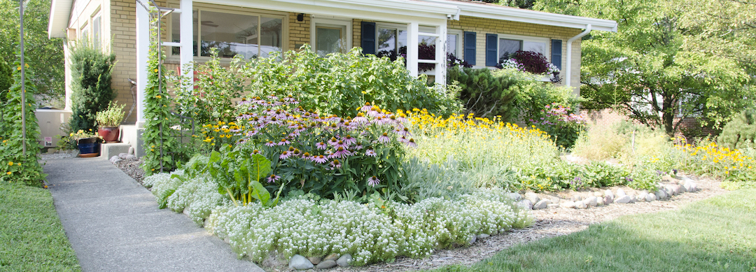 Permaculture Garden Design