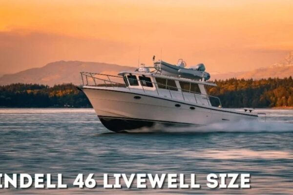 Everything You Need to Know About the Lindell 46 Livewell Size