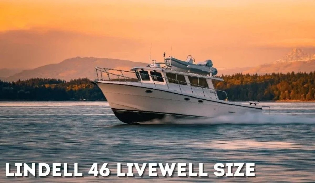 Everything You Need to Know About the Lindell 46 Livewell Size